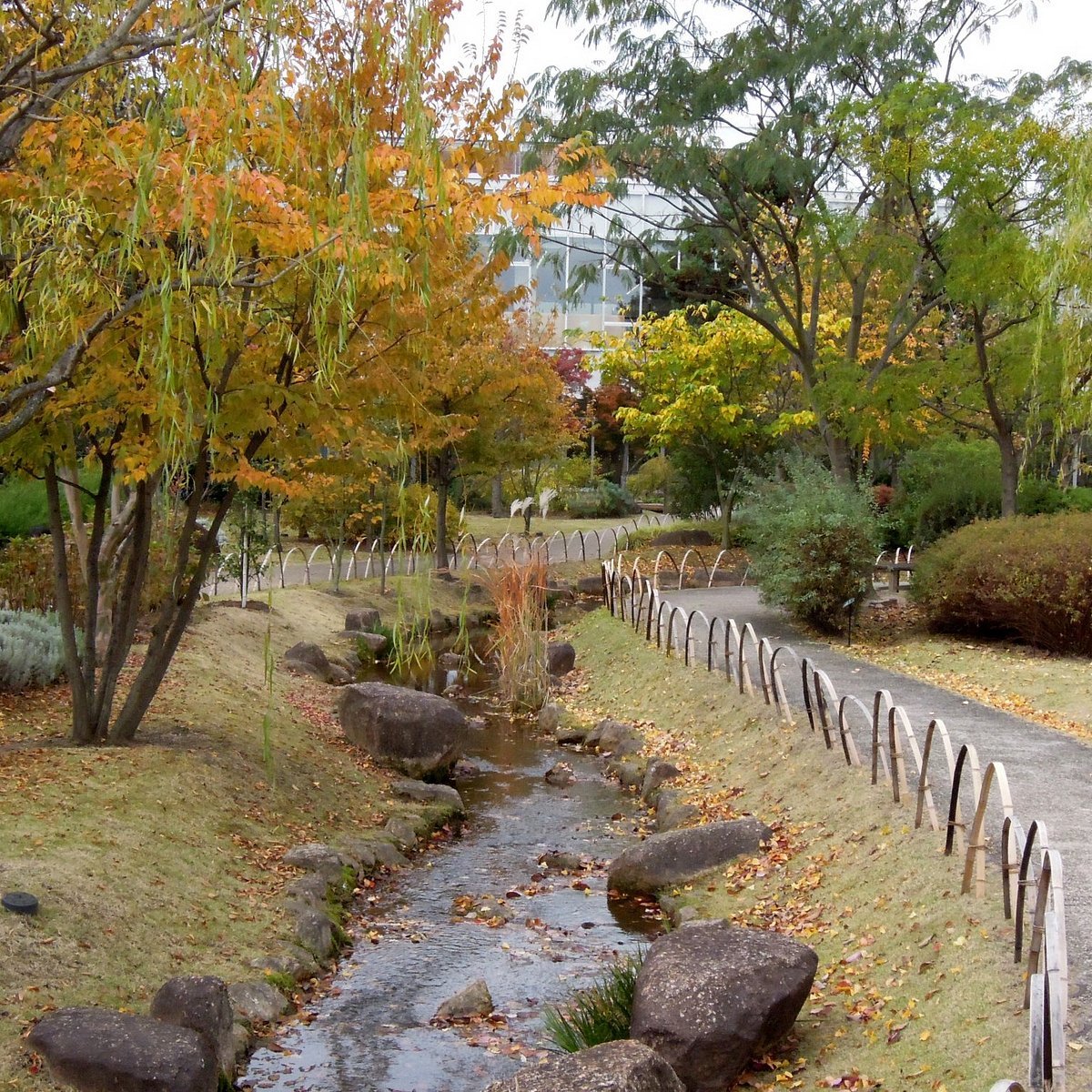 🏞️ 사이다이지 녹화 공원(사이다이지료쿠카코엔) 이미지 1